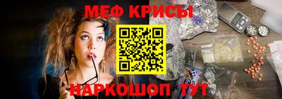 СК Гатчина