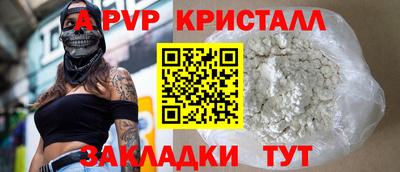 СК Гатчина