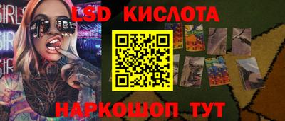 СК Гатчина