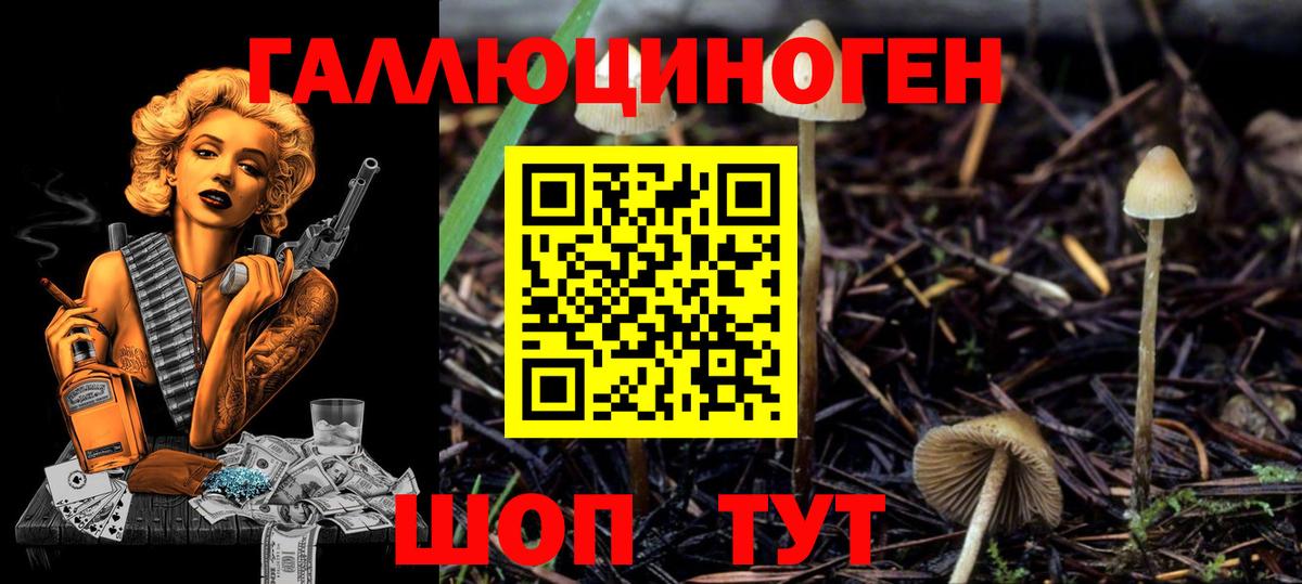 Псилоцибиновые грибы GOLDEN TEACHER Кулебаки